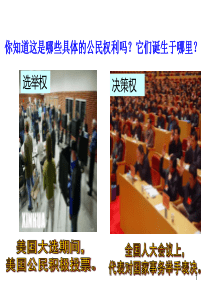 卓尔不群的雅典----优质课