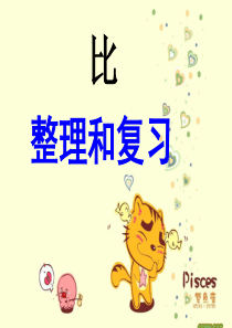 比的整理和复习ppt