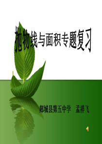 1二次函数之二次函数中的面积问题1