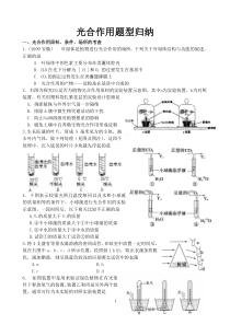 光合作用题型归纳
