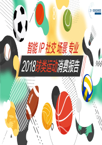 2018年球类运动消费报告