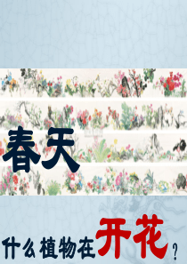 开花和结果