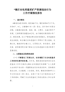 乡镇打击私挖滥采矿产资源违法行为工作开展情况汇报