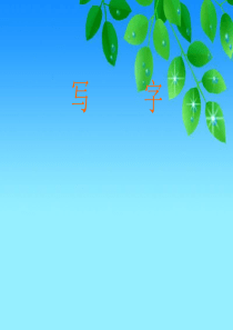 写字课教学课件