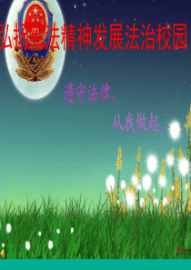 弘扬宪法精神-发展法治校园主题班会课件