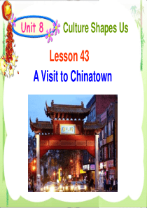 冀教9年级Unit8Lesson43-A-visit-to-Chinatown(17张)