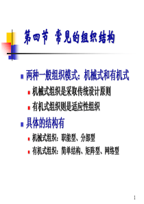 常见的组织结构