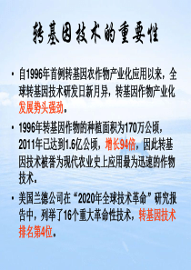 转基因水稻