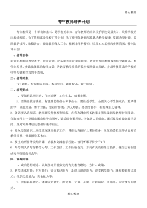 指导青年教师计划