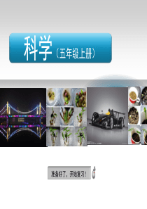 五年级上册科学期末复习