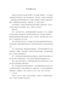 青年教师导师制个人总结