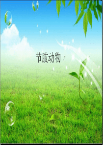 冀教版七年级上节肢动物