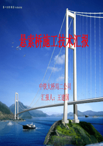悬索桥施工技术汇报