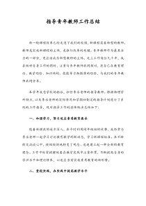 指导青年教师工作总结