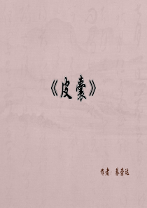 《皮囊》读书心得