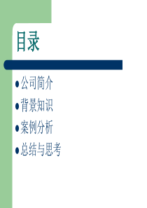 巨人集团案例分析之内部控制