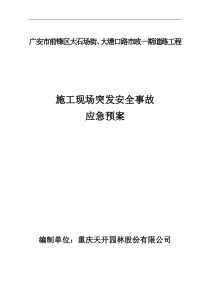 施工现场突发安全事故应急预案-