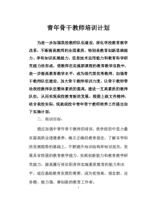 青年骨干教师培训计划