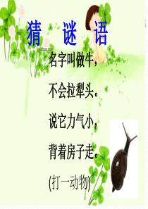 2018年部编版《小蜗牛》PPT