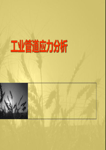 工业管道应力分析