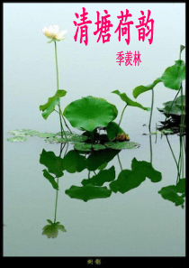 《清塘荷韵》课件5