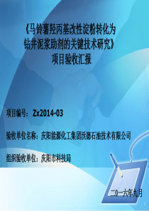 科技项目验收PPT