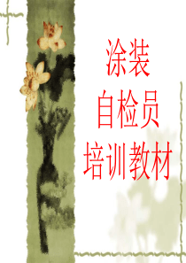 涂装常见不良分析PPT