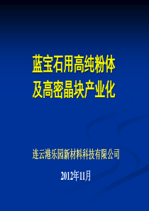 高纯Al2O3项目汇报PPT-2稿