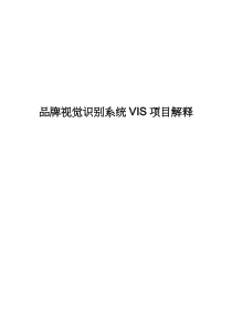 VIS--项目明细解释资料