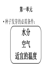 教科版小学科学五上复习