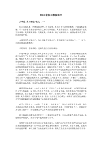 3000字实习报告范文