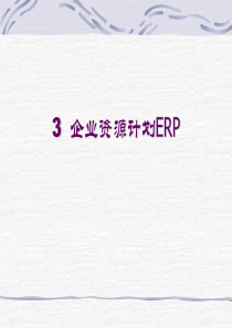 电子商务实务课件-第3章ERP