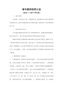 2016-2017 青年教师培养计