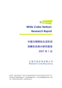 iResearch-中国白领网民消费形态研究报告
