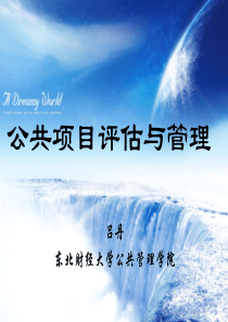 公共项目管理与评估――公共项目评估与管理