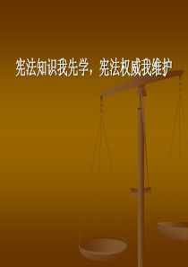 17小学生宪法知识讲座