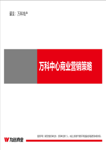 万科中心商业营销策略