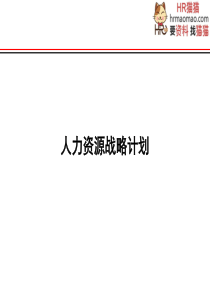 【实例】XX集团2006人力战略规划-HR猫猫