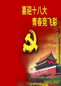 十八大背景材料PPT
