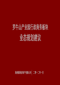 行政商务板块业态规划建议20120131(汇报版)