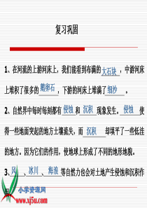 (教科版)五年级科学上册课件 减少对土地的侵蚀 1