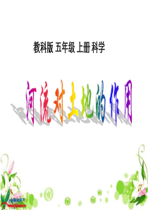 (教科版)五年级科学上册课件 河流对土地的作用 1