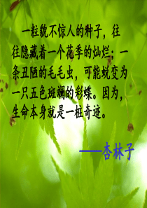 生命生命公开课ppt