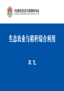 生态农业及秸秆综合利用(王飞)