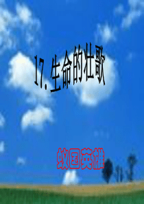 苏教版小学四年级下册语文课件_17生命的壮歌(课件)