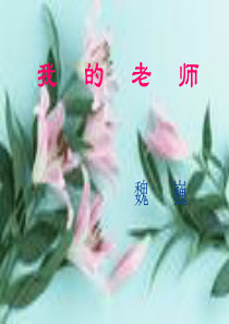 第六课我的老师  第一节  词语