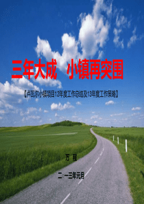 2013年吉林卢瓦尔小镇项目12年度工作总结及13年度工作策略