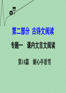 【湖南中考面对面】2016年中考语文 第二部分 古诗文阅读 专题1 第14篇 湖心亭看雪复习课件 新