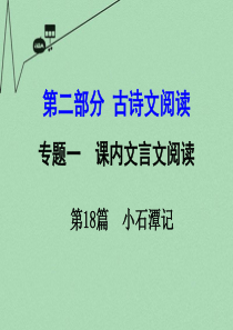 【湖南中考面对面】2016年中考语文 第二部分 古诗文阅读 专题1 第18篇 小石潭记复习课件 新人