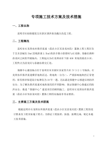 石龙坝水库工程专项施工方案